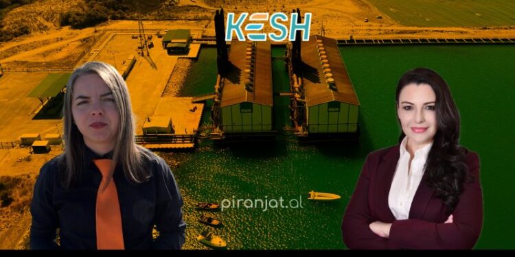 Tigrat e Vlorës, energjia që prodhohet 6 herë më shtrenjtë se sa shitet