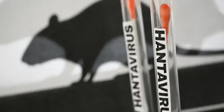 Alarm për hantavirusin, OBSH konfirmon rastin e 12-të