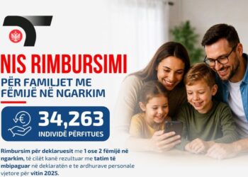 DIVA 2025/ Tatimet nisin procedurat e rimbursimit për përfituesit