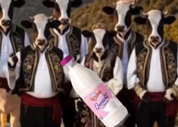 Erzeni banalizon isopolifoninë labe! I kthen në lopë…