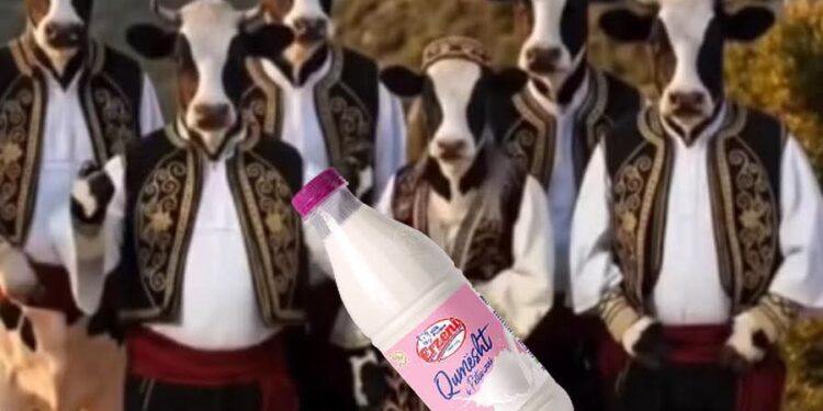 Erzeni banalizon isopolifoninë labe! I kthen në lopë…