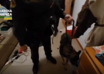 Antimafia në Brescia godet rrjetin e kokainës, dhjetëra shqiptarë mes të akuzuarve (EMRAT)