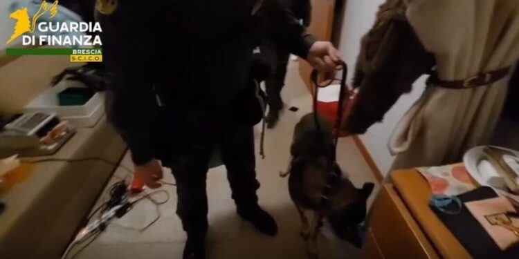 Antimafia në Brescia godet rrjetin e kokainës, dhjetëra shqiptarë mes të akuzuarve (EMRAT)