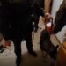 Antimafia në Brescia godet rrjetin e kokainës, dhjetëra shqiptarë mes të akuzuarve (EMRAT)
