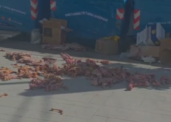 Skandal në Tiranë/ Mbetje kafshësh dhe kocka të hedhura në trotuar, alarm për shëndetin publik