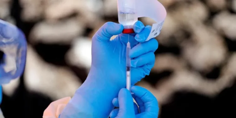 Paralajmëron OBSH: Ebola po përhapet shumë shpejt!