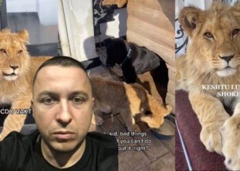 Nga hipopotamët e Escobar te luanët e Ervis Martinajt, si kriminelët i kthyen vilat në “kopshte zoologjike”