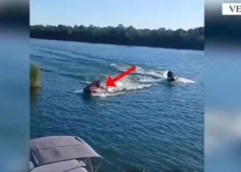 Shkeli perimetrin e sigurisë me Jet Ski në Velipojë, 1 mln lekë gjobë për drejtuesin