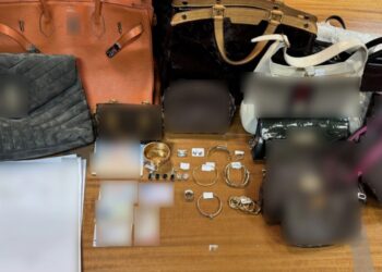  “Turistët e krimit”/ “Skifterët’ vjedhin 45 orë luksoze me vlerë 1,5 mln euro nga vila e pronarit të anijeve