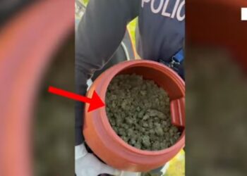 Operacioni antidrogë në Elbasan, policia jep detajet: 16 të arrestuar, 8 në kërkim