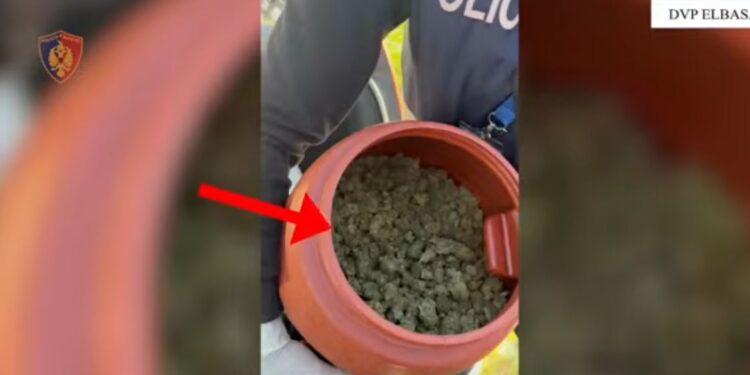 Operacioni antidrogë në Elbasan, policia jep detajet: 16 të arrestuar, 8 në kërkim