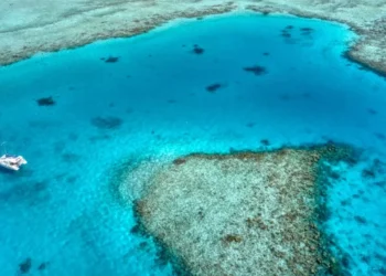 Tragjedi në Maldive, pesë turistë italianë humbin jetën gjatë një zhytjeje