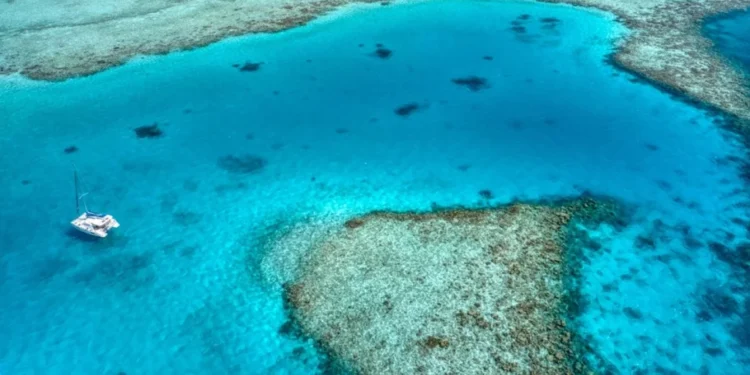 Tragjedi në Maldive, pesë turistë italianë humbin jetën gjatë një zhytjeje