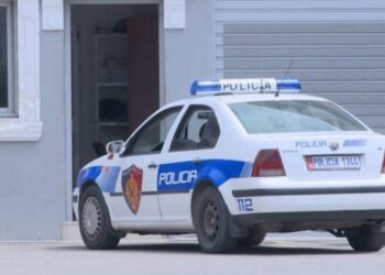 “Furnizonte” Don Boskon dhe Laprakën me kokainë, si ra në grackën e policisë trafikanti. U kap mat duke…