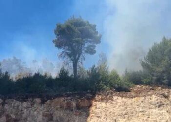 Zjarr te Rana e Hedhun, rrezikohen disa struktura akomoduese