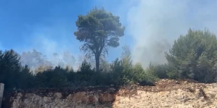 Zjarr te Rana e Hedhun, rrezikohen disa struktura akomoduese