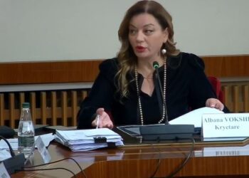 Raporti për integrimin, Vokshi debat me socialistët në Komisionin e Jashtëm: Po fshihni të vërtetën!