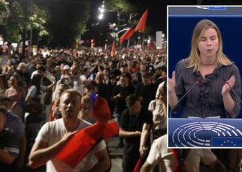 Eurodeputetja e PE ngre zërin për protestat në Shqipëri: Ku po shkojnë paratë publike?