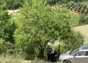 Ceremonia mortore e babait të Ilir Metës, Monika Kryemadhi merr pjesë në varrim