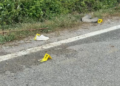 3-vjeçari humb jetën pas përplasjes nga automjeti, nëna në spital