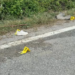 3-vjeçari humb jetën pas përplasjes nga automjeti, nëna në spital