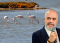 Shifrat që rrëzojnë Ramën/ Si u zhdukën flamingot me ardhjen e tij në pushtet