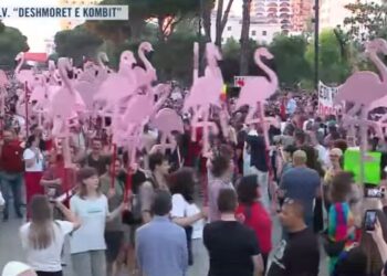 Qytetarët zgjedhin paradën me flamingo për të përshëndetur amendamentin e PE