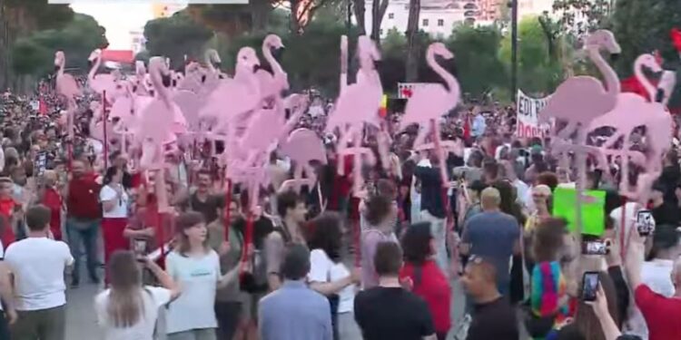 Qytetarët zgjedhin paradën me flamingo për të përshëndetur amendamentin e PE