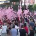 Qytetarët zgjedhin paradën me flamingo për të përshëndetur amendamentin e PE