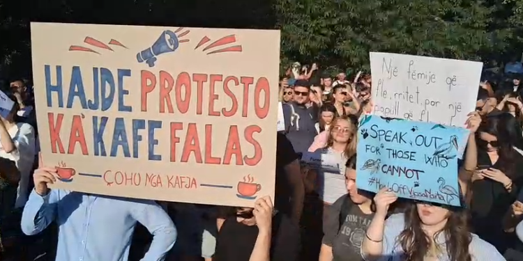 “Ik në katund”/ Pankartat pikante dominojnë protestën në bulevard