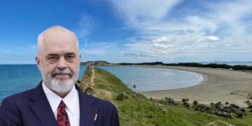 Çfarë humbasim? Pishë Poro-Narta përpara protestës së Flamingove