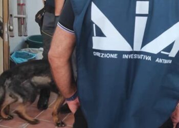 Antimafia italiane shkatërron rrjetin e trafikut të drogës me lidhje shqiptare, 23 në pranga