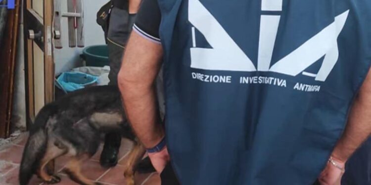 Antimafia italiane shkatërron rrjetin e trafikut të drogës me lidhje shqiptare, 23 në pranga