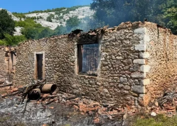 Bilanc tragjik/ Digjet banesa, humbin jetën nëna 24-vjeçare dhe dy fëmijët e saj të mitur