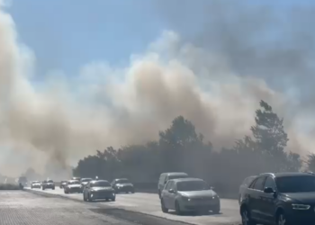 Zjarr i madh në Fushë-Shijak, flakët i afrohen autostradës Tiranë-Durrës