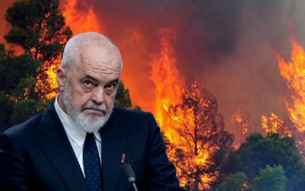 Zjarret dogjën mbi 16 mijë hektarë në 2025, vetëm humbja e lëndës drusore arrin 7.19 miliardë lekë