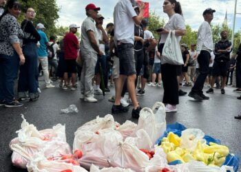 Domate, vezë dhe speca, “arsenali” i protestuesve për deputetët para Kuvendit