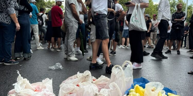 Domate, vezë dhe speca, “arsenali” i protestuesve për deputetët para Kuvendit