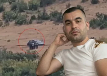 Rëndohet bilanci! U plagos nga ish-dhëndri, ndërron jetë në spital Bejlere Plaka