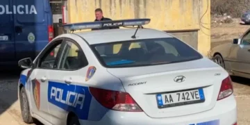 Aksident tragjik në Kolonjë, humb jetën 36-vjeçari gjatë ngarkimit të drurëve
