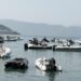 “Një trëndafil për Enrikun”, miq e familjarë zhvillojnë homazhe në bregdet për gazetarin që humbi jetën