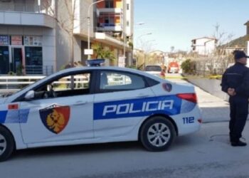 Dhunoi kunatën, i biri i saj qëllon me armë në ajër; Arrestohet 34-vjeçari në Dibër