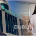 Pas sterilizimit, OSHIS merr edhe check-up dhe dializën