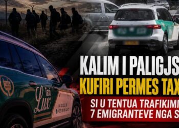 Si u tentua trafikimi i 7 emigrantëve nga Sudani përmes “Lux Taxi”