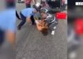 I fshehur në bagazh, momenti kur ‘Shqiponjat’ arrestojnë Sokrat Vatën. Në makinë edhe dy persona të tjerë