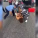 I fshehur në bagazh, momenti kur ‘Shqiponjat’ arrestojnë Sokrat Vatën. Në makinë edhe dy persona të tjerë