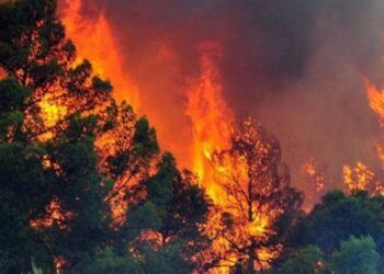 Shqipëria në “sezonin” e zjarreve, 30 vatra në 24 orë