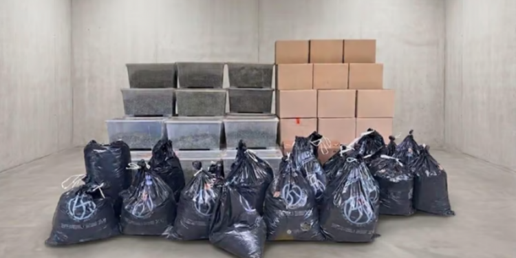 Zvicër/ Sekuestrohen mbi 1.1 ton kanabis, 2 shqiptarë në pranga
