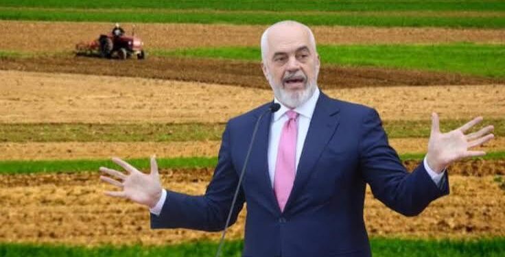 Të ngrira për të ardhmen, të harruara në ara: Si po e humbet Shqipëria biodiversitetin e saj bujqësor