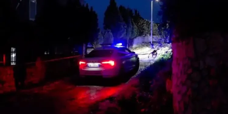 Arrestohet Renardo Nallbani i shumëkërkuari për inceneratorin e Tiranës